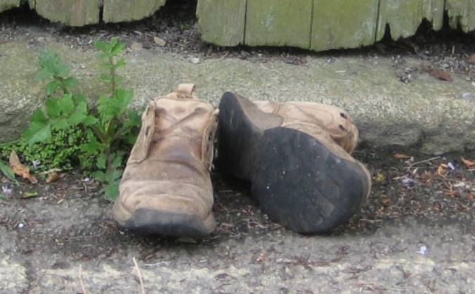 Transatlantic dialogues on homelessness