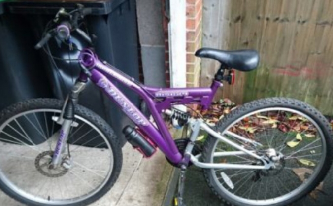Replacement Bike