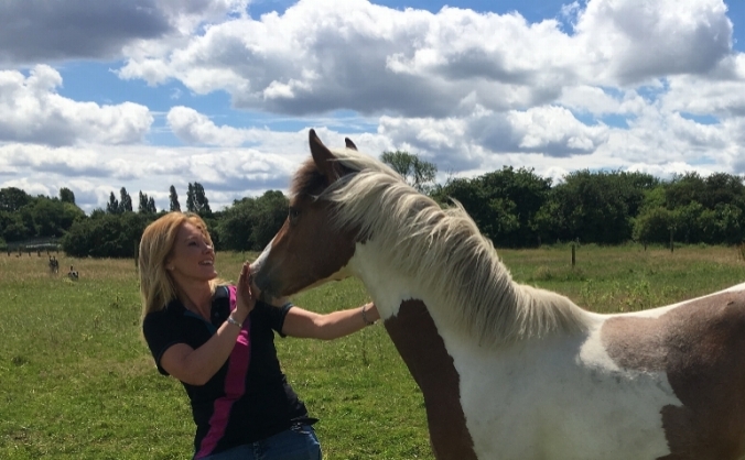 Major Equestrian