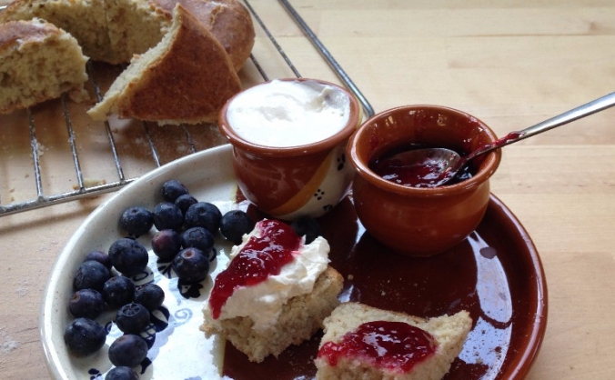 All Things Gluten Free