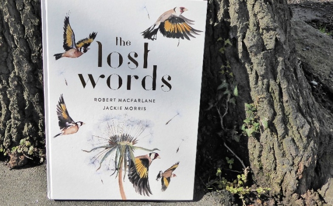 The Lost Words for every Sheffield Primary School