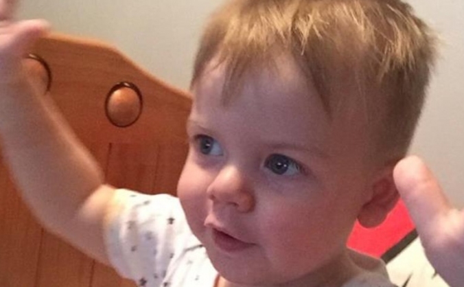 'Leo' the Little Lion Fights on