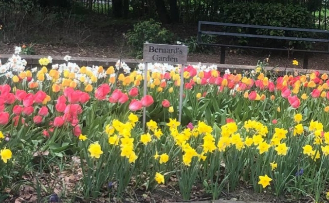 Help restore Bernards Garden