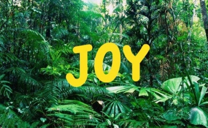 Joy! Taste the evolution of drinking
