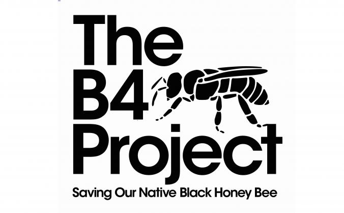 Saving our Native Honey Bee in Cornwall.