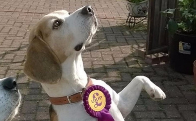 Support UKIP Gainsborough, promoting a LEAVE Vote