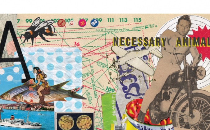 Necessary Animals