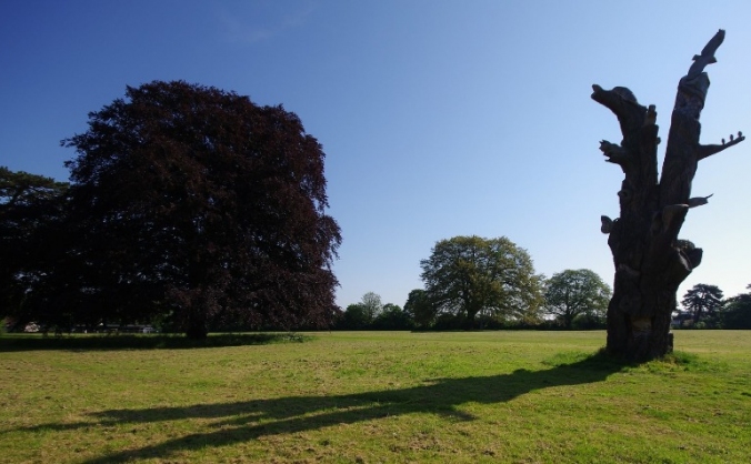 Save Stoke Lodge Parkland