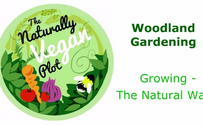 A Land Base for The Naturally Vegan Plot!