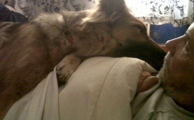Help for Freya!