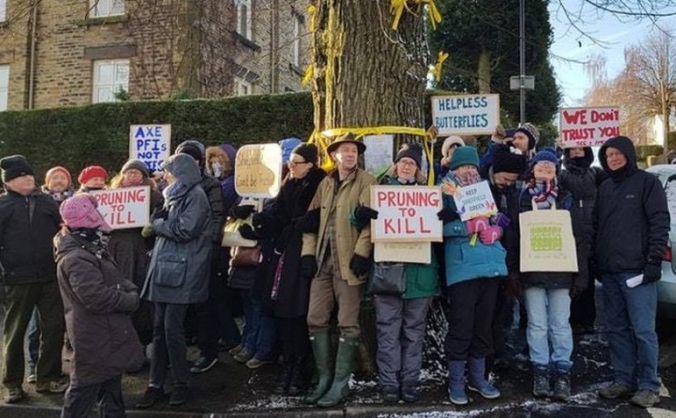 Sheffield Street Trees Legal Fund 2018 3