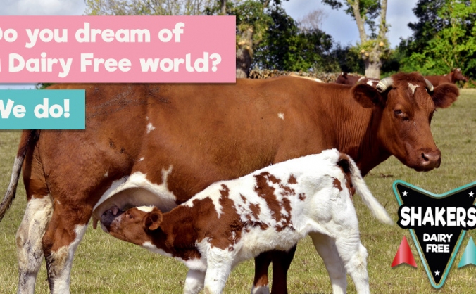 Shakers Dairy Free