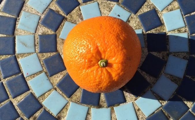 Around the World with 10,000 oranges