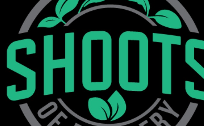 Shoots of Recovery