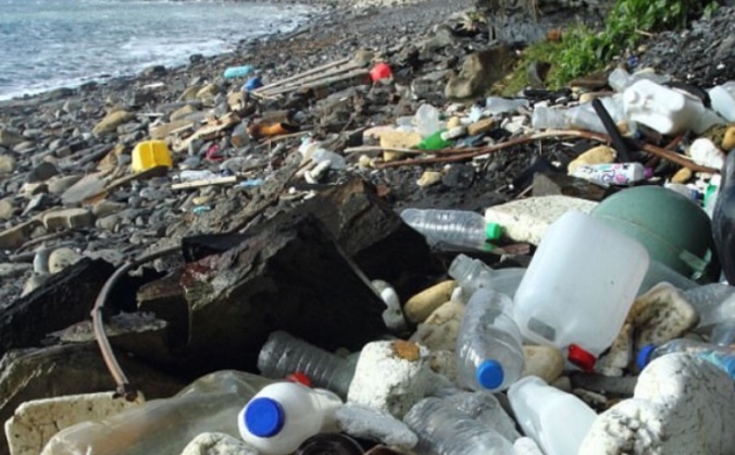 Big Dorset sea clean up