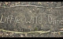 Little Wild Things