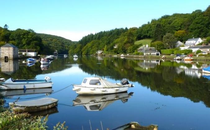 Lerryn Village Website Appeal