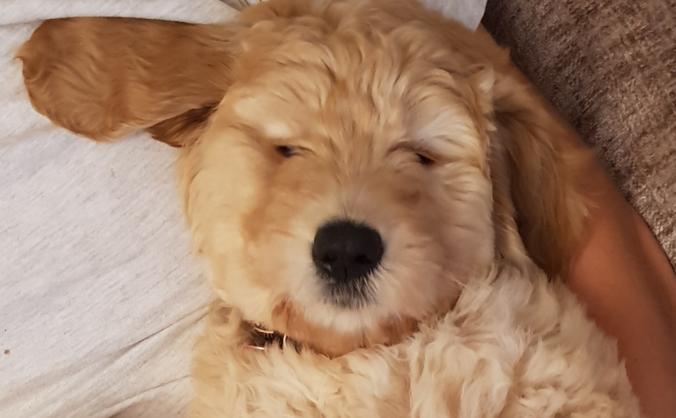 Give Winnie Her Eyesight!