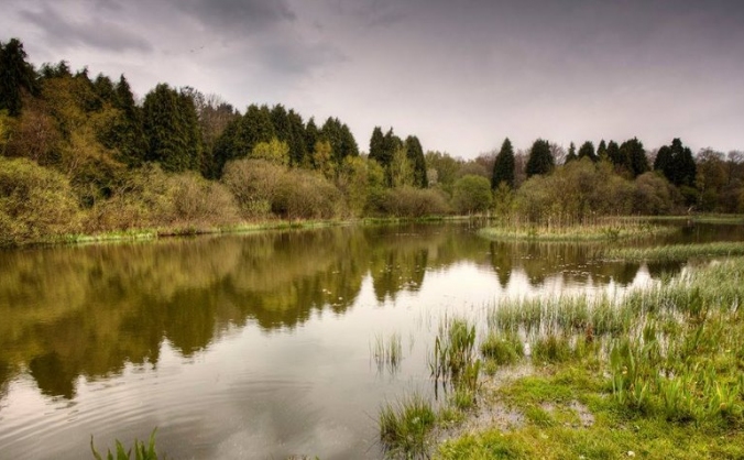 Save Woodhall And Faskine Greenbelt