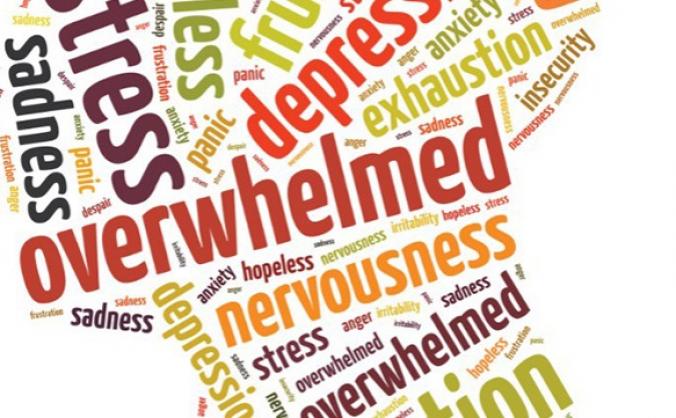 Fortismere Sixth Form Counselling Support