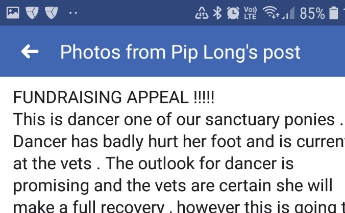 Dancer vet bill at roleystone sanctuary