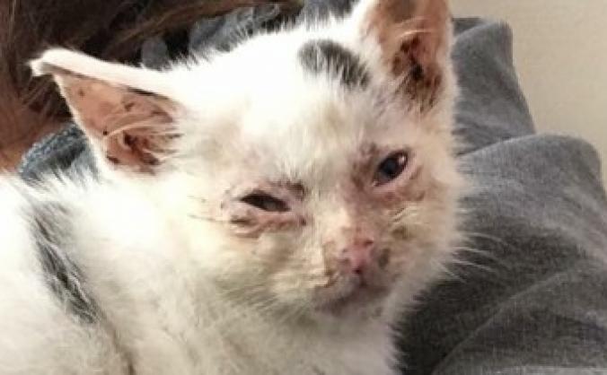 Help George's Journey to Recovery