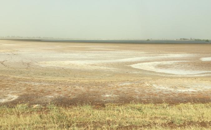 Action Against Land Degradation in Casamance.