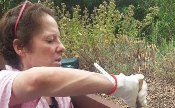 Help The Mayday University Hospital Garden