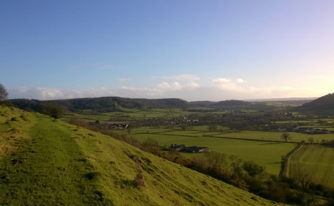 Protect the butterflies of the Polden Hills