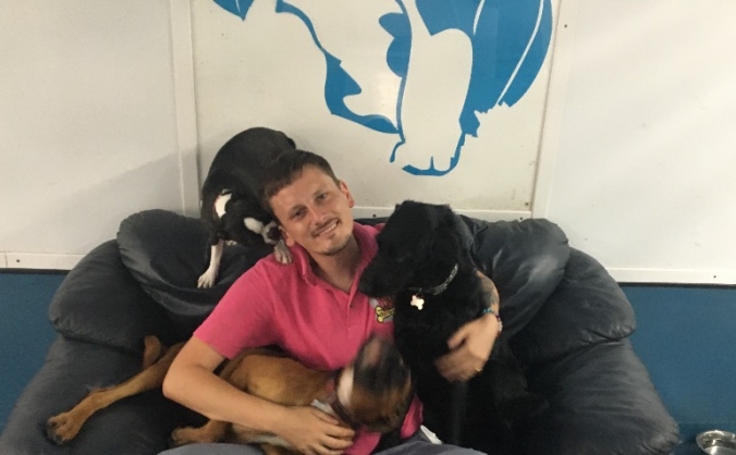 Save The Doggy Den
