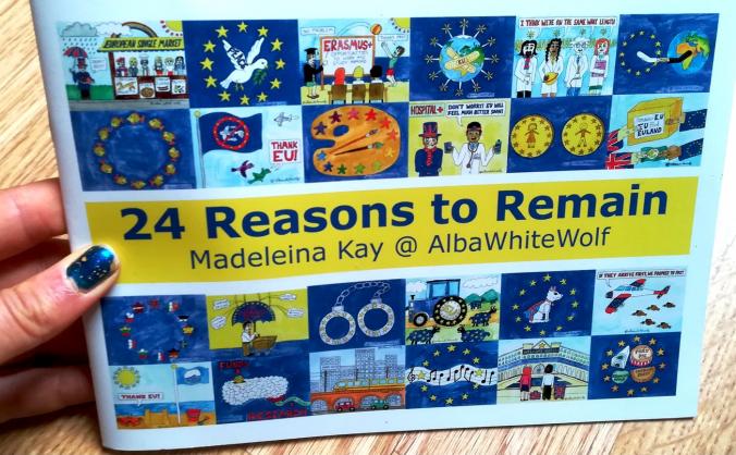 24 Reasons to Remain Booklets