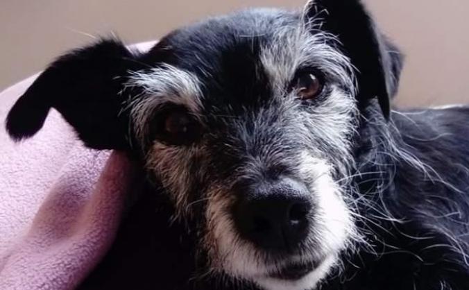 Jock Memorial Picture