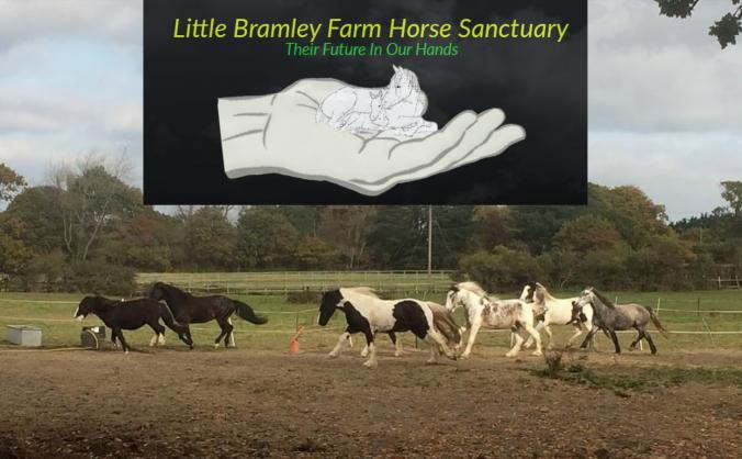 Little Bramley Farm Horse Sanctuary