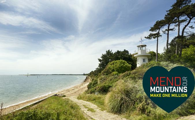 Mend the New Forest