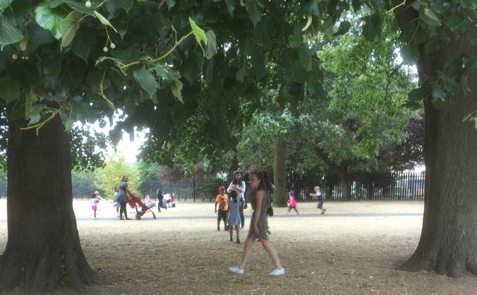 Save Yiewsley Park from developments
