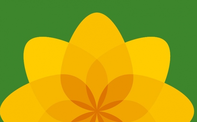 Plaid Cymru. Making OUR countdown HUGE!