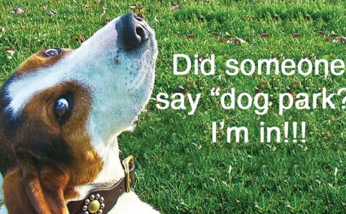 Caister Dog Park (off leash)