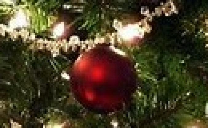 Barnsley Care Leavers Christmas Dinner