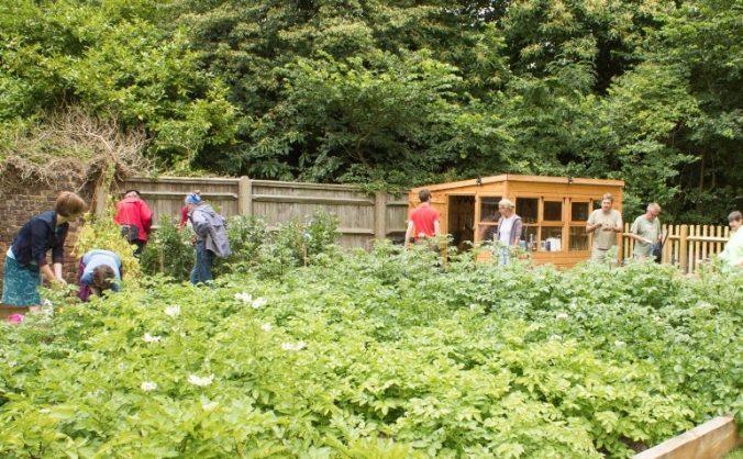 Model Market Garden at Marble Hill Park