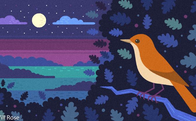 The Last Song of the Nightingale - a documentary