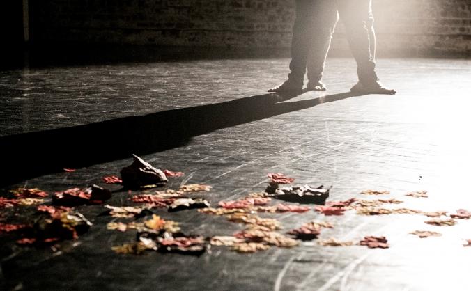 'Natura Viva' by Sara Ciprietti - Netherlands tour