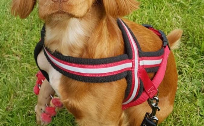 PLEASE HELP TWIGGY