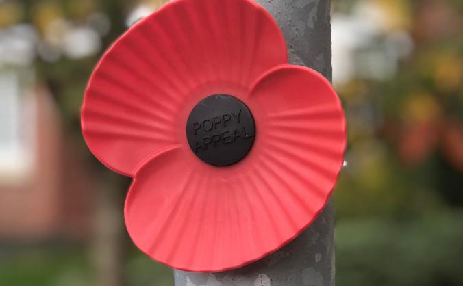 Buckshaw Village Poppy Campaign