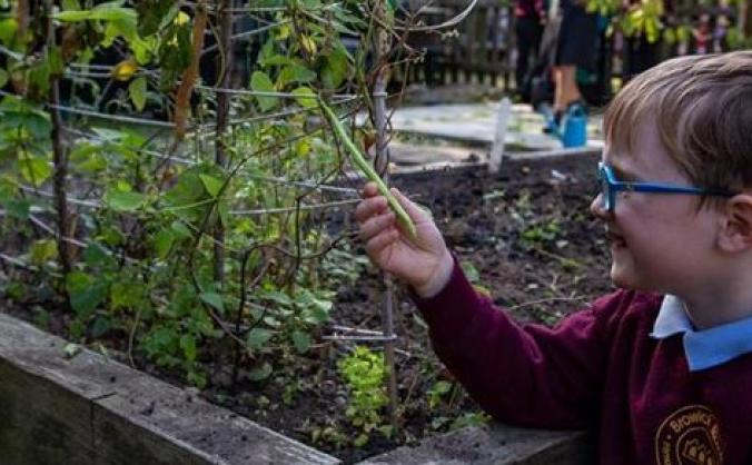 Growing young minds at Browick Road School