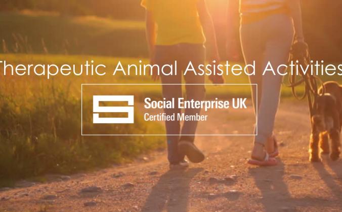 Therapeutic Animal Assisted Activities