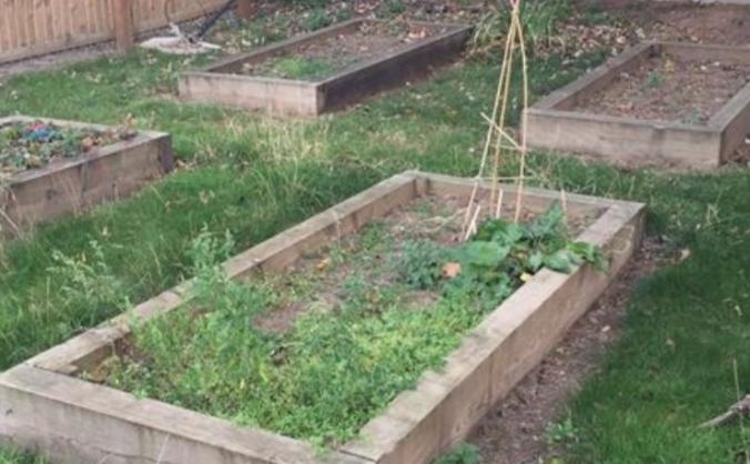 Cossington Primary School - Peace Garden