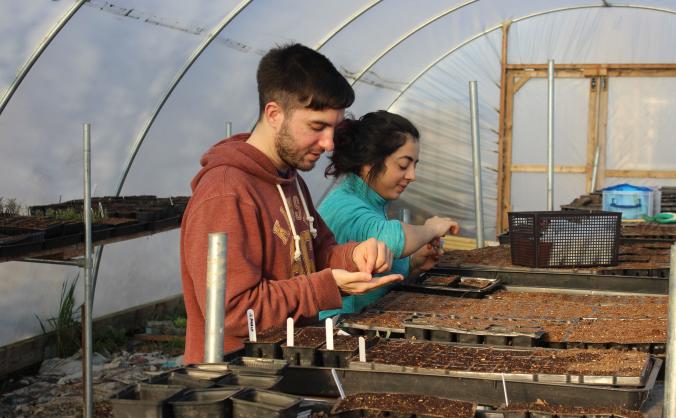 Growing skills & opportunities with Audacious Veg