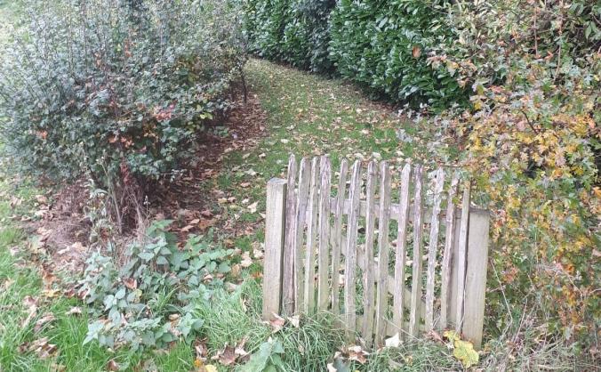 The Bee Happy Garden @ Ballycraigy Primary