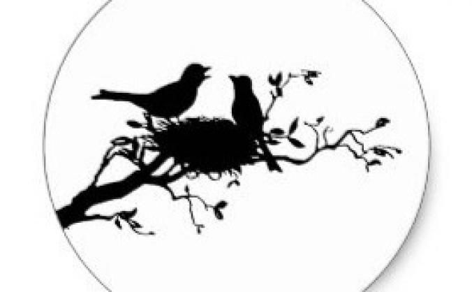 Unfledged