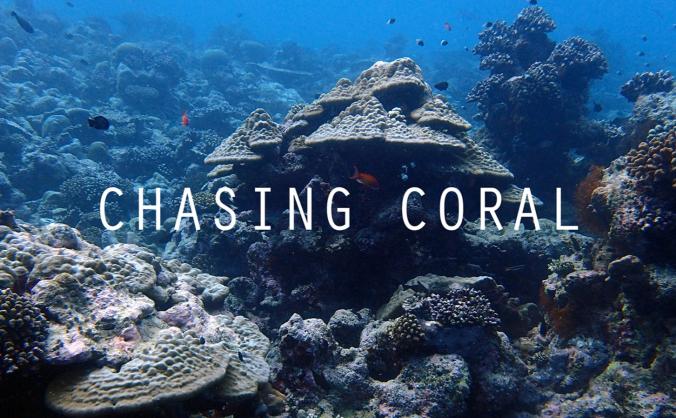 Chasing Coral : A community screening & fundraiser
